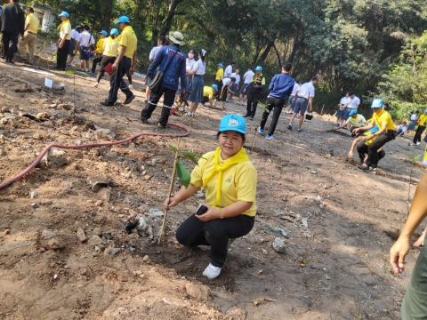 ผู้อำนวยการ พร้อมคณะครู และนักเรียนโรงเรียนห้วยผึ้งพิทยา ร่วมปลู